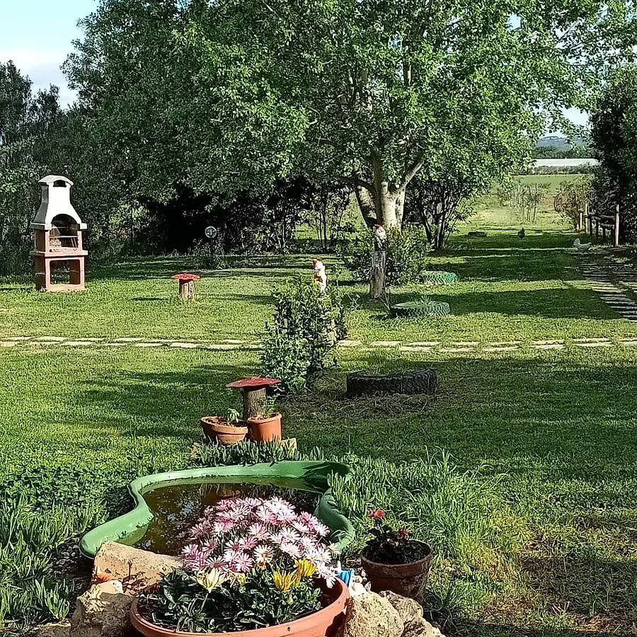 Farm stay Agriturismo Il Cipresso Vada Italy
