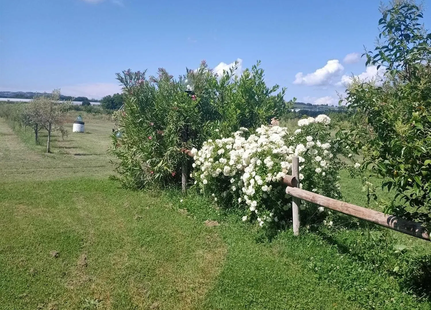 Farm stay Agriturismo Il Cipresso Vada Italy