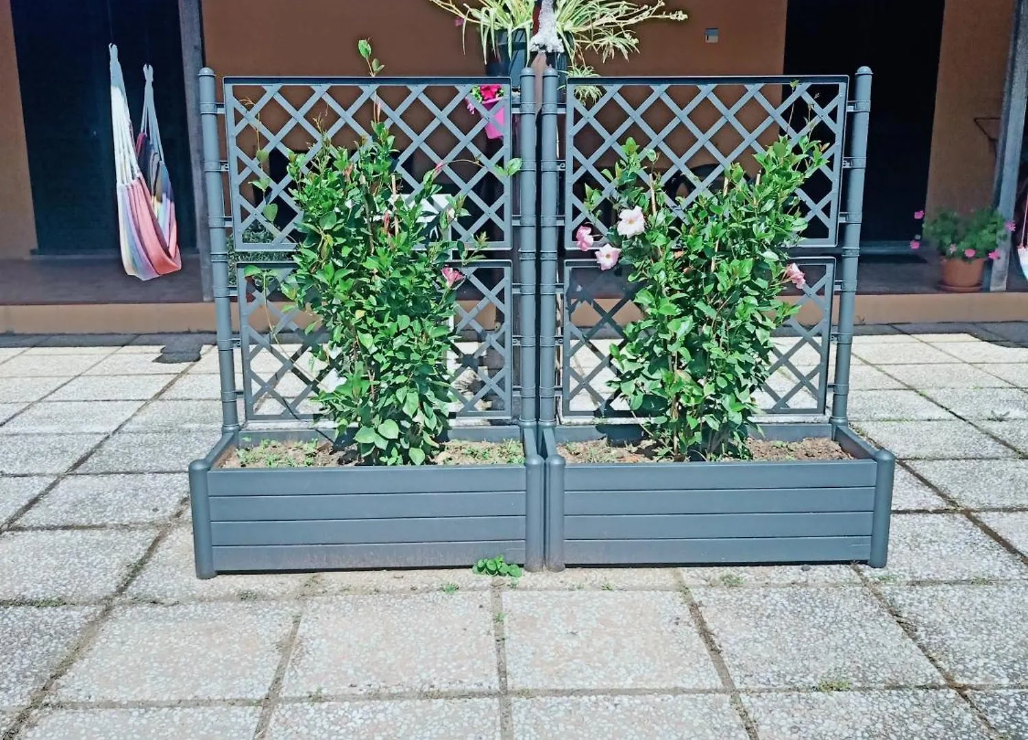 Agriturismo Il Cipresso Vada