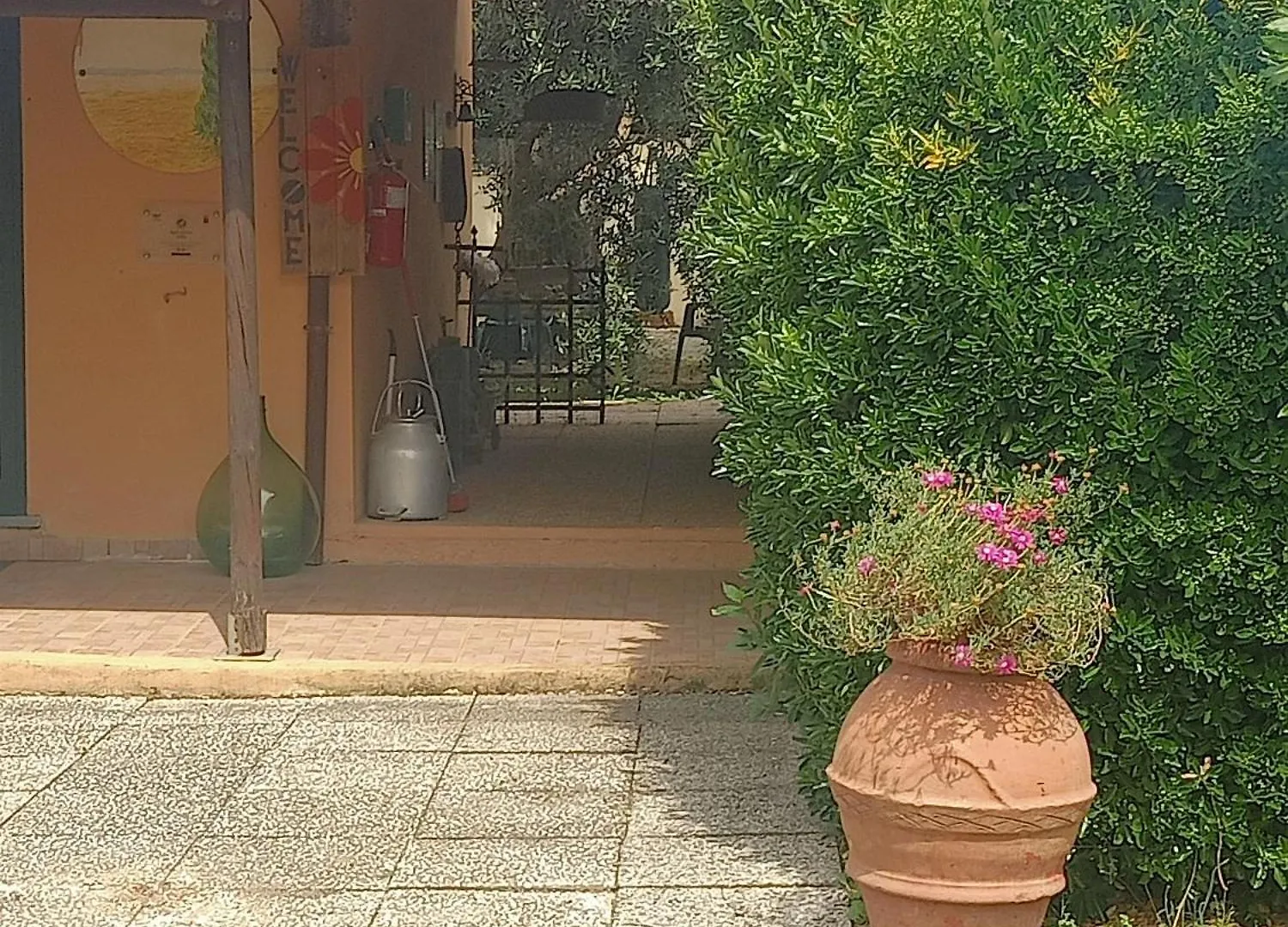 Agriturismo Il Cipresso Vada Farm stay