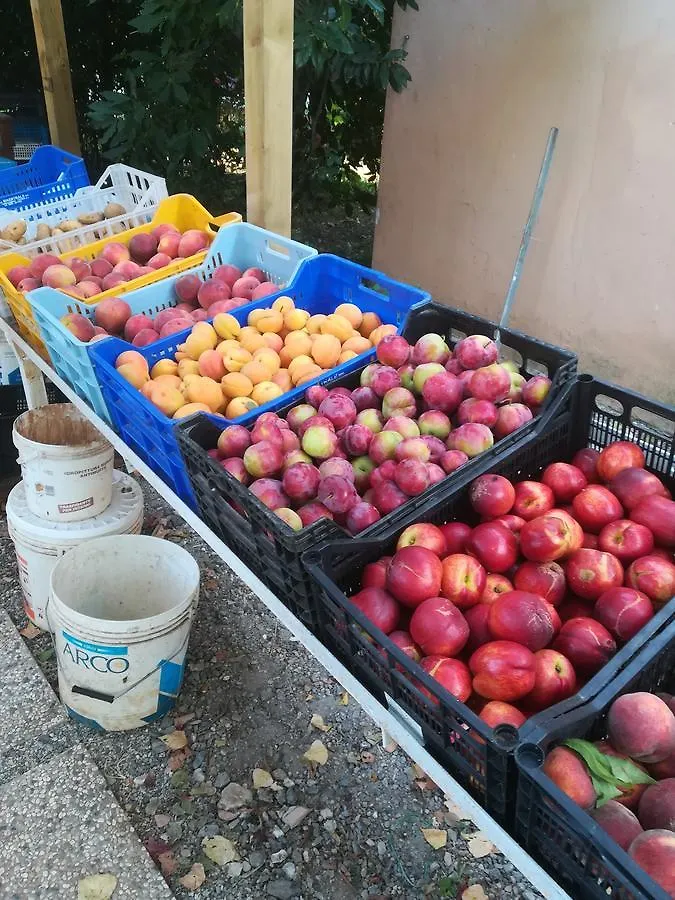 Agriturismo Il Cipresso Vada