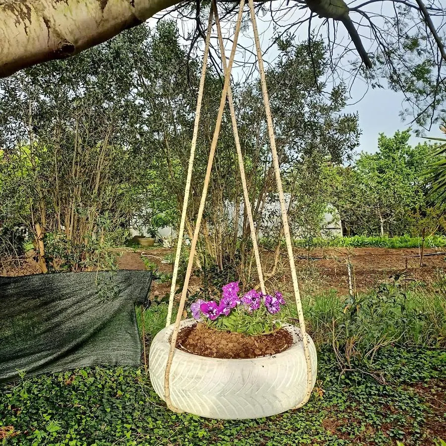 Lantgård Agriturismo Il Cipresso Vada