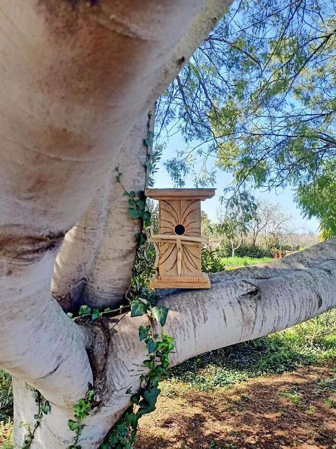 Lantgård Agriturismo Il Cipresso Vada