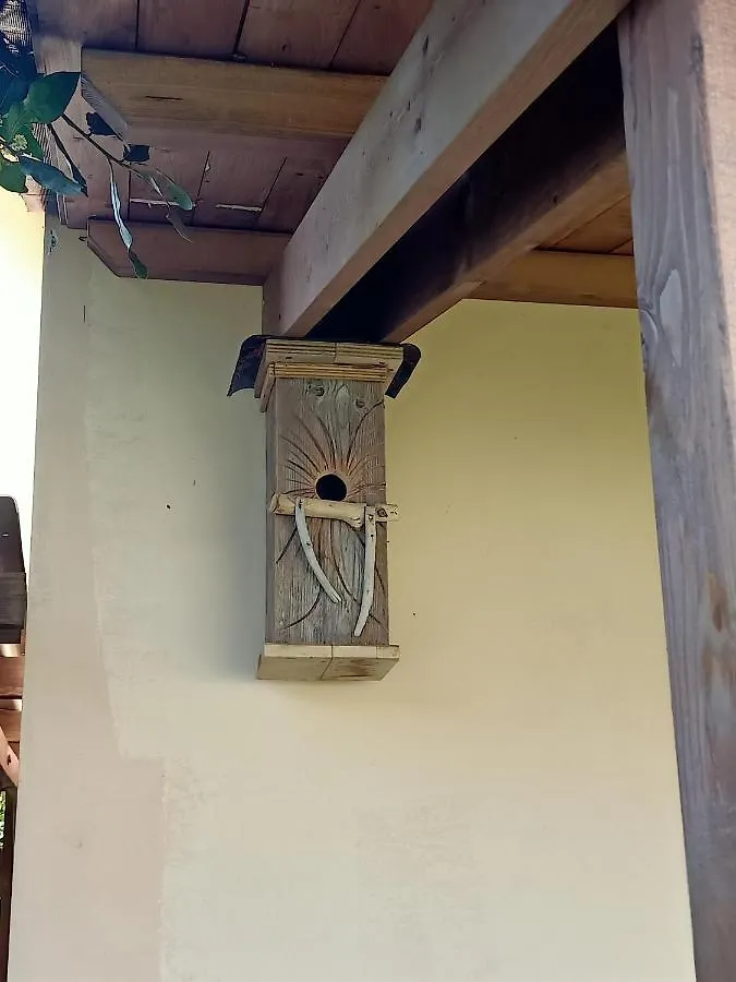 Lantgård Agriturismo Il Cipresso Vada