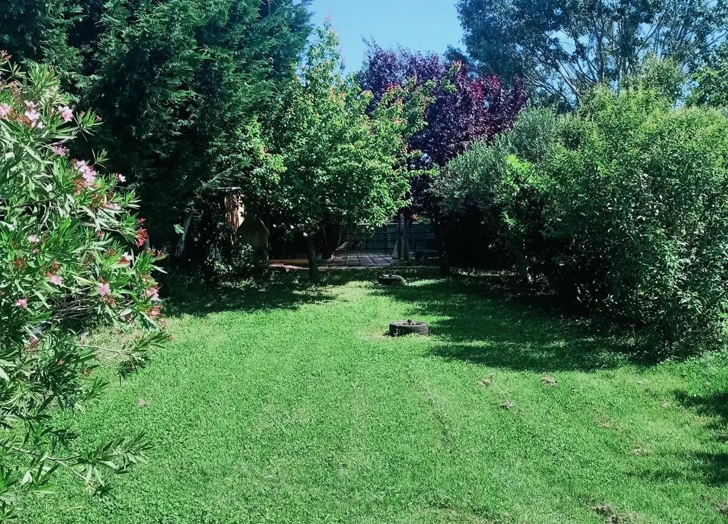 Lantgård Agriturismo Il Cipresso Vada