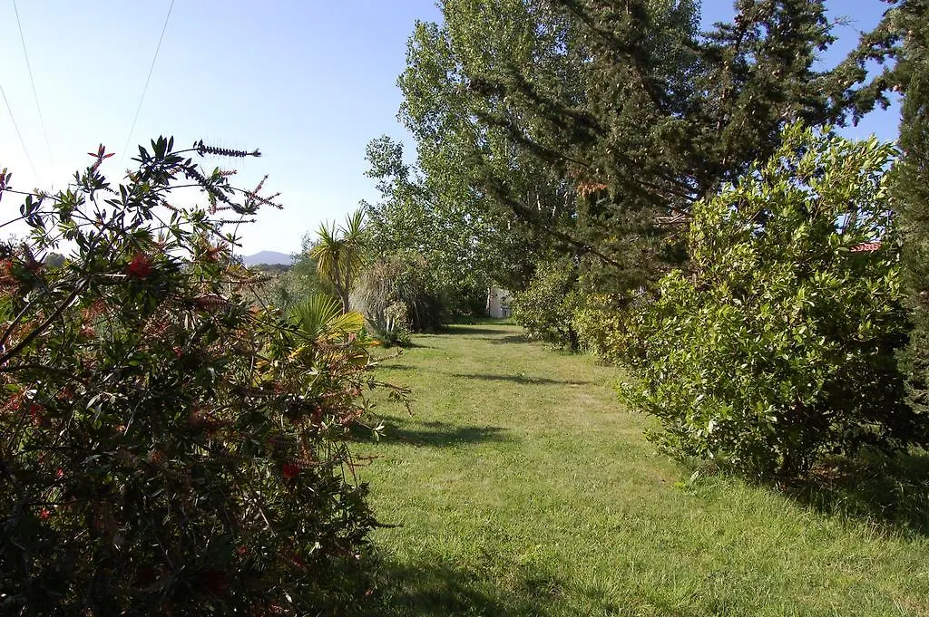 Agriturismo Il Cipresso Vada Lantgård
